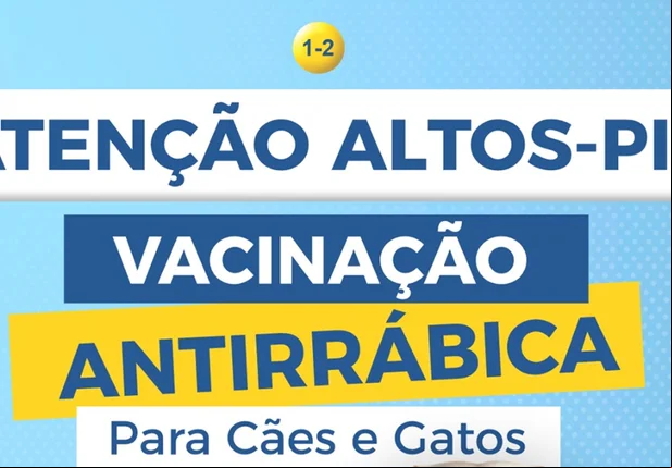 Prefeitura de Altos anuncia vacinação antirrábica para cães e gatos