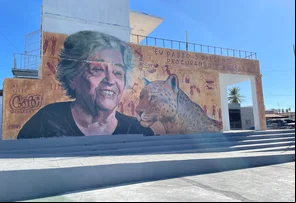 Niède Guidon ganha mural na Praça do Abrigo em São Raimundo Nonato